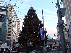 015 Detroit Scenes [2008 Nov 27]